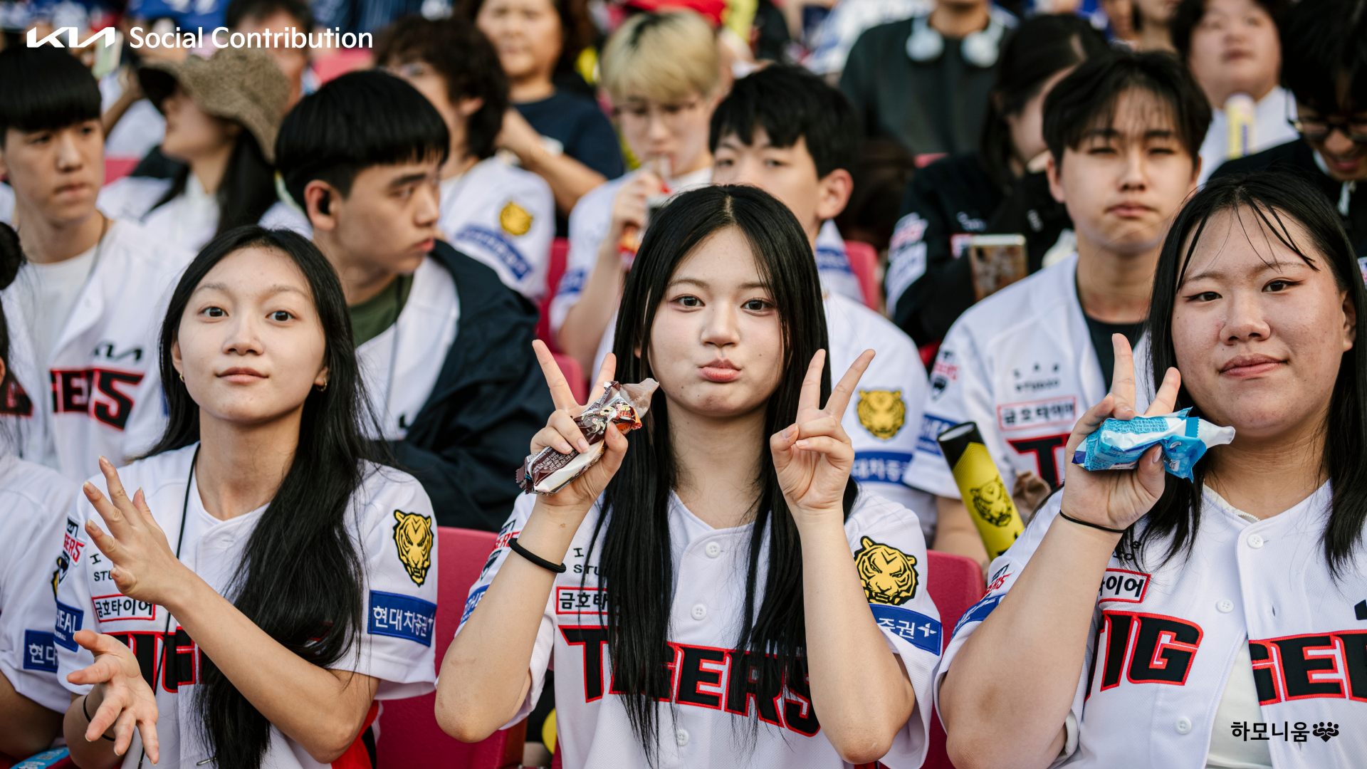 4a738509169cf.png