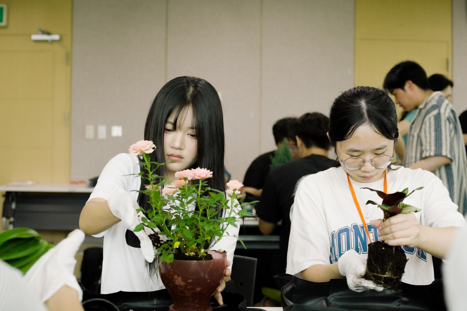 a778cbd69ef05.png