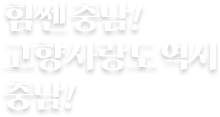 힘쎈 충남 고향사랑도 역시 충남!