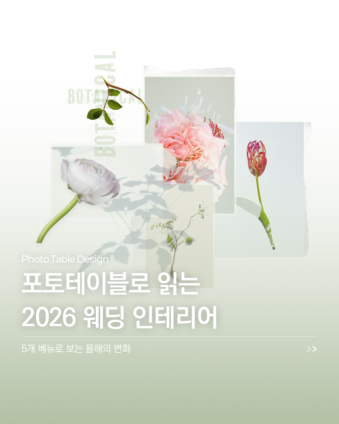126cd3bacf2fe.png