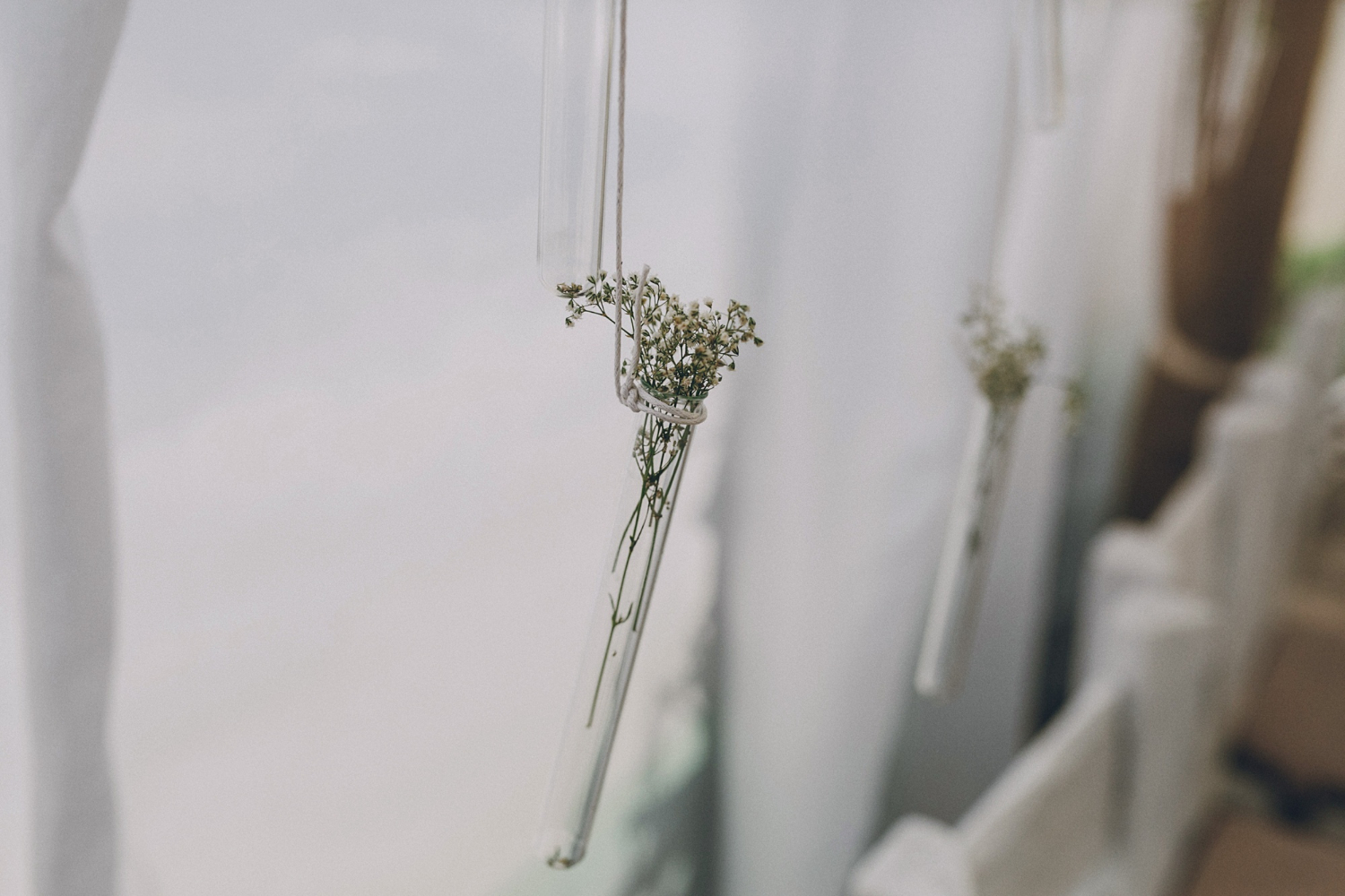 6f8797d9a24fe.jpg