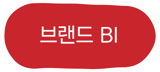 브랜드BI