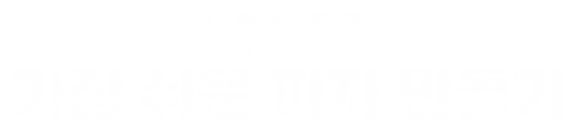 나피자 과정