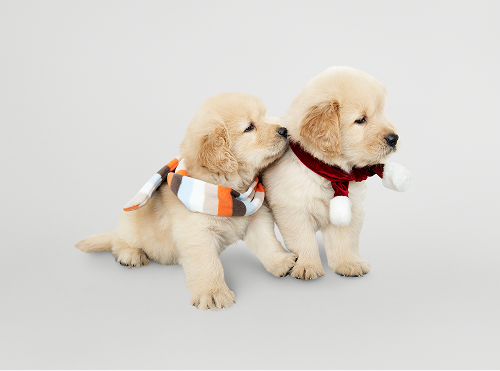 문구/취미/반려동물