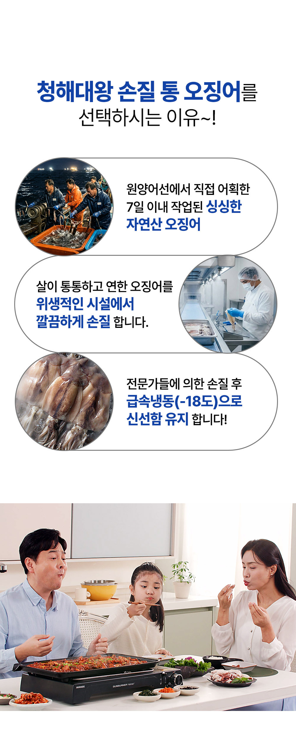 오징어 04