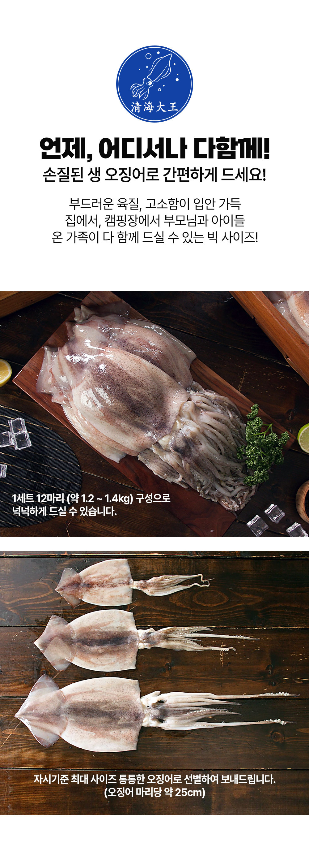 오징어 08