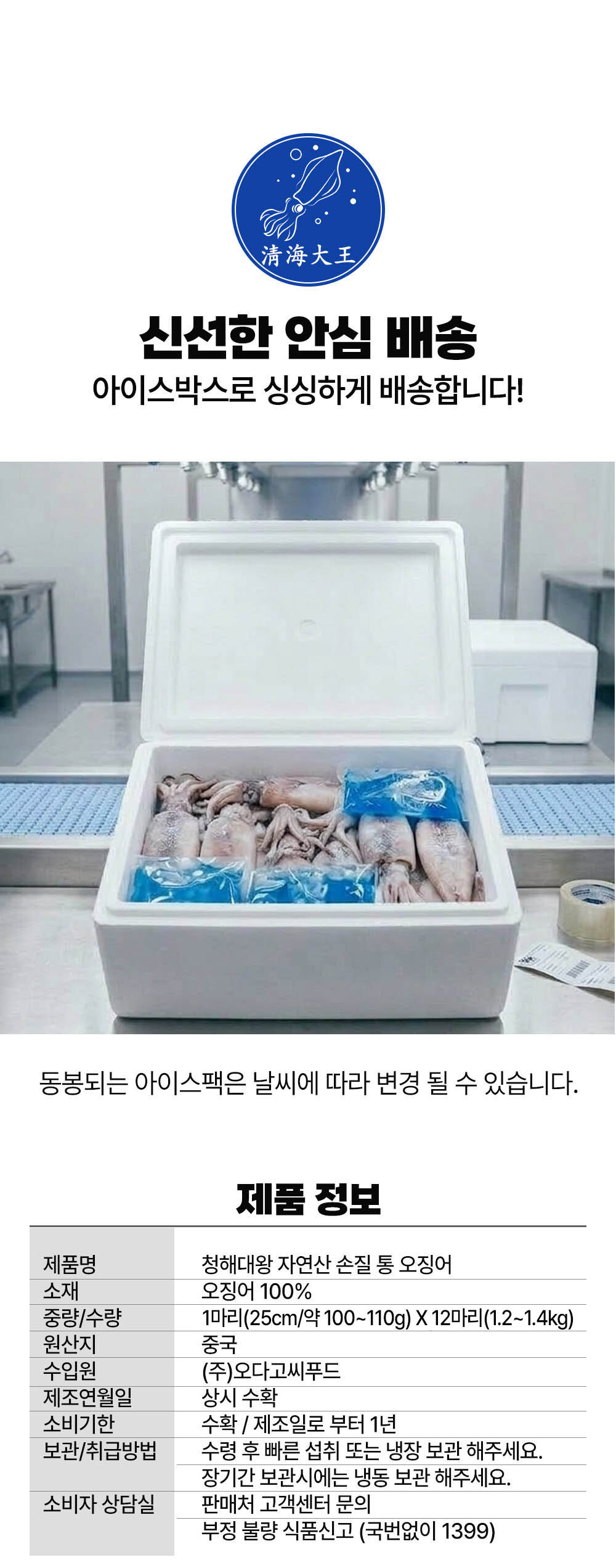 오징어 14