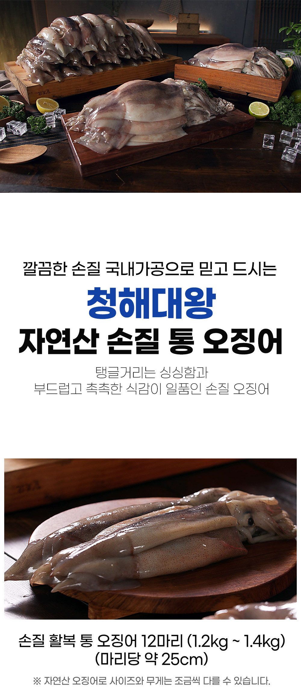 오징어 03