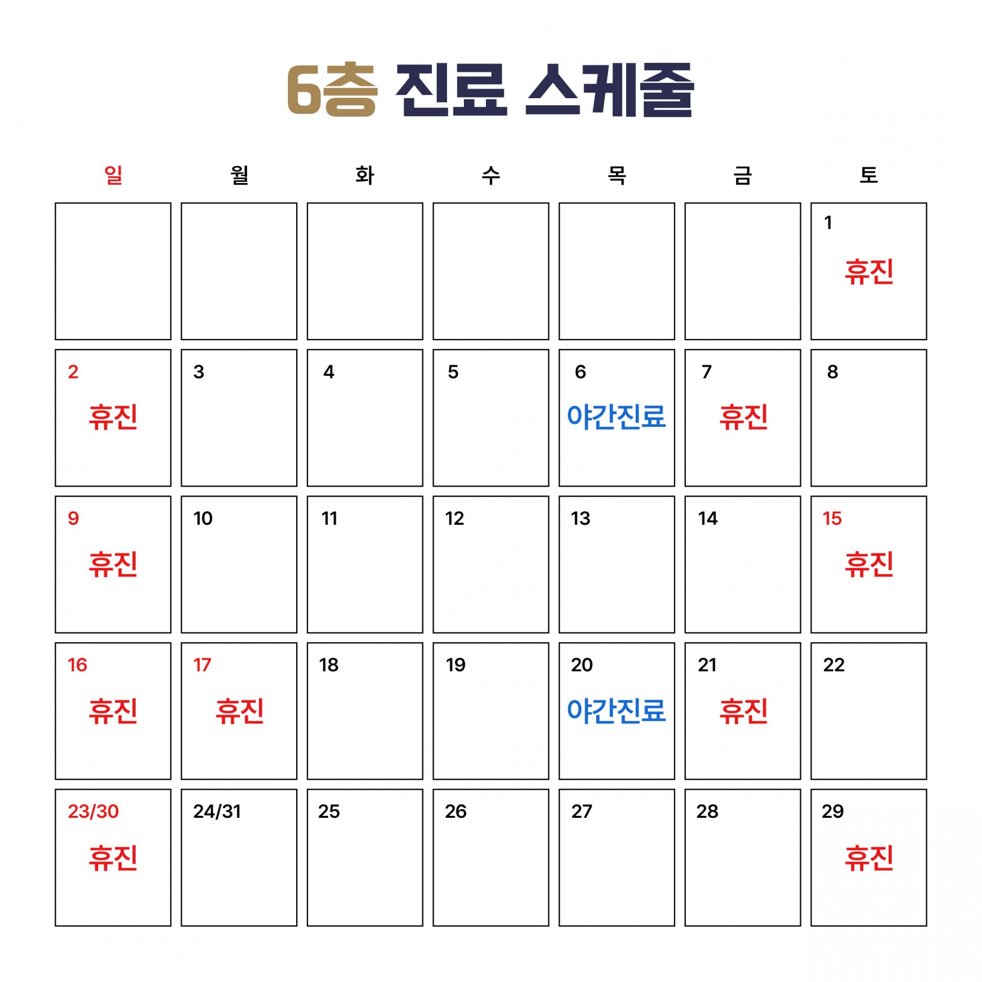 6층 진료 스케줄