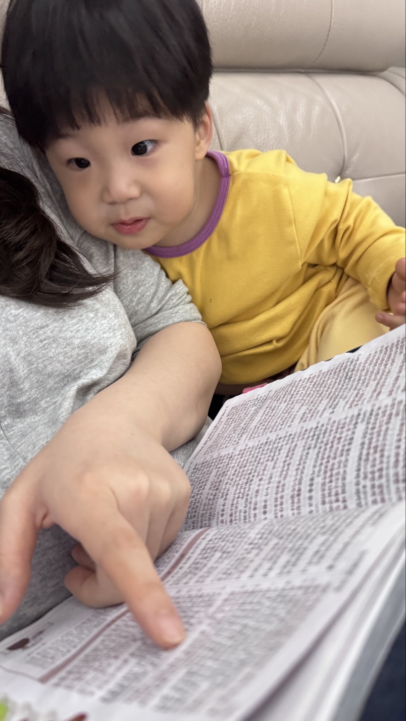 2f5b66228000c.jpg