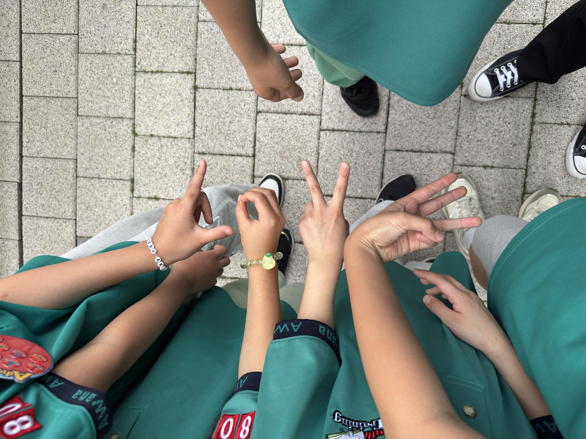51a312aa8acc4.jpg