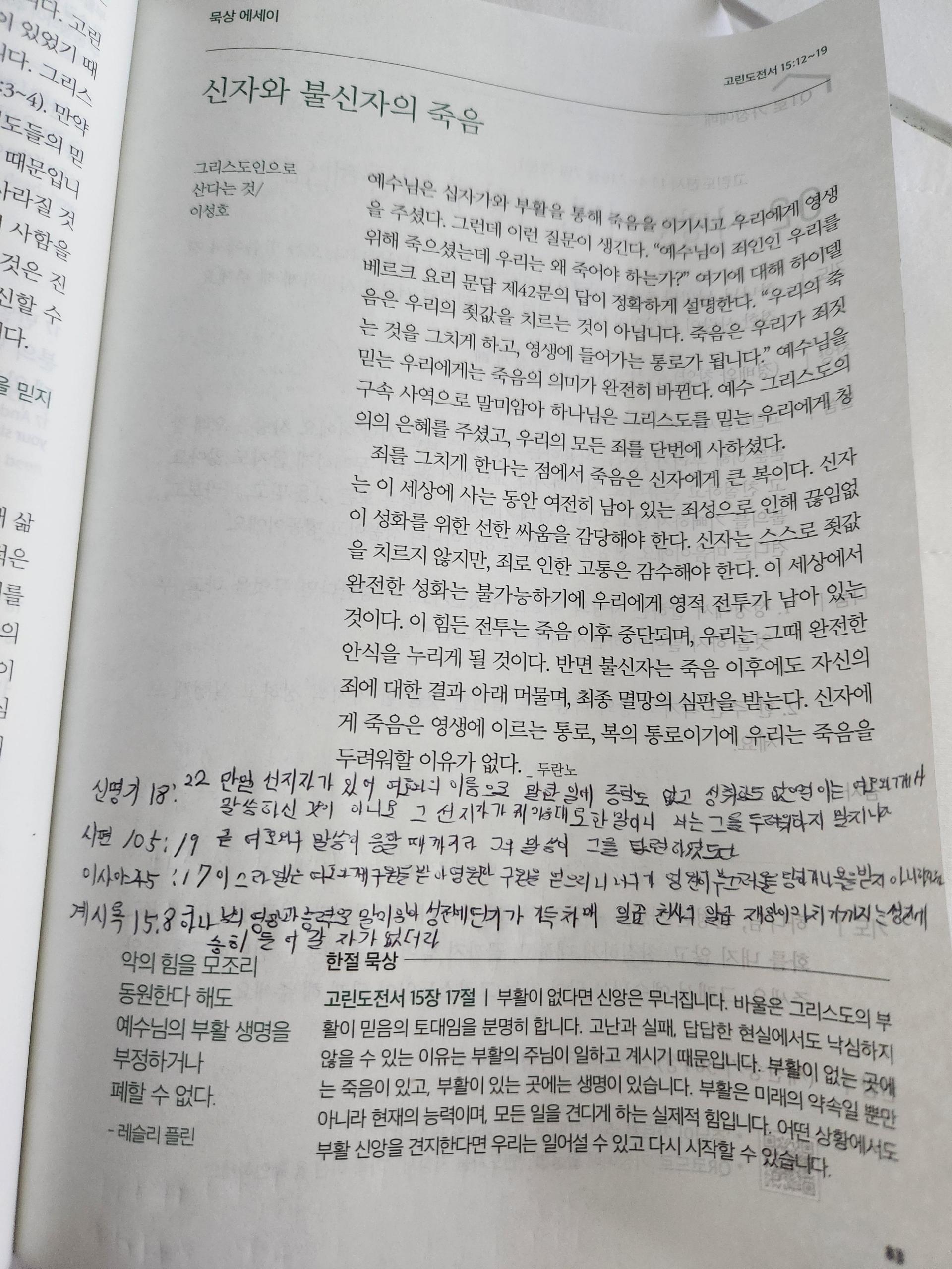 c446153431591.jpg