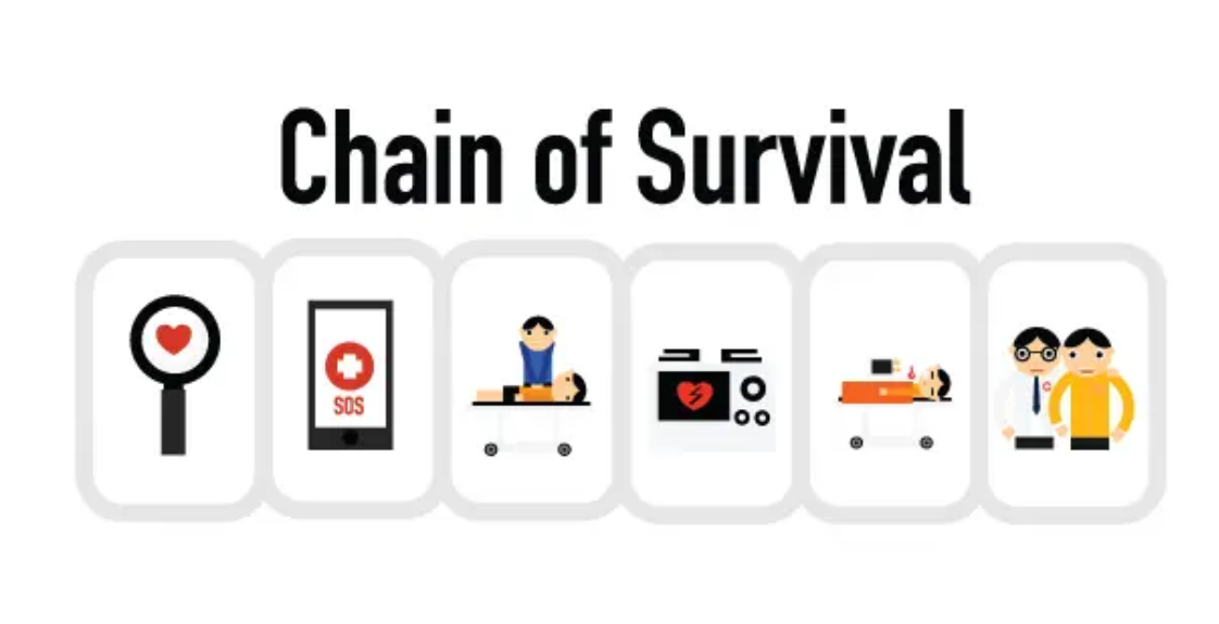 Adult Chain Of Survival img