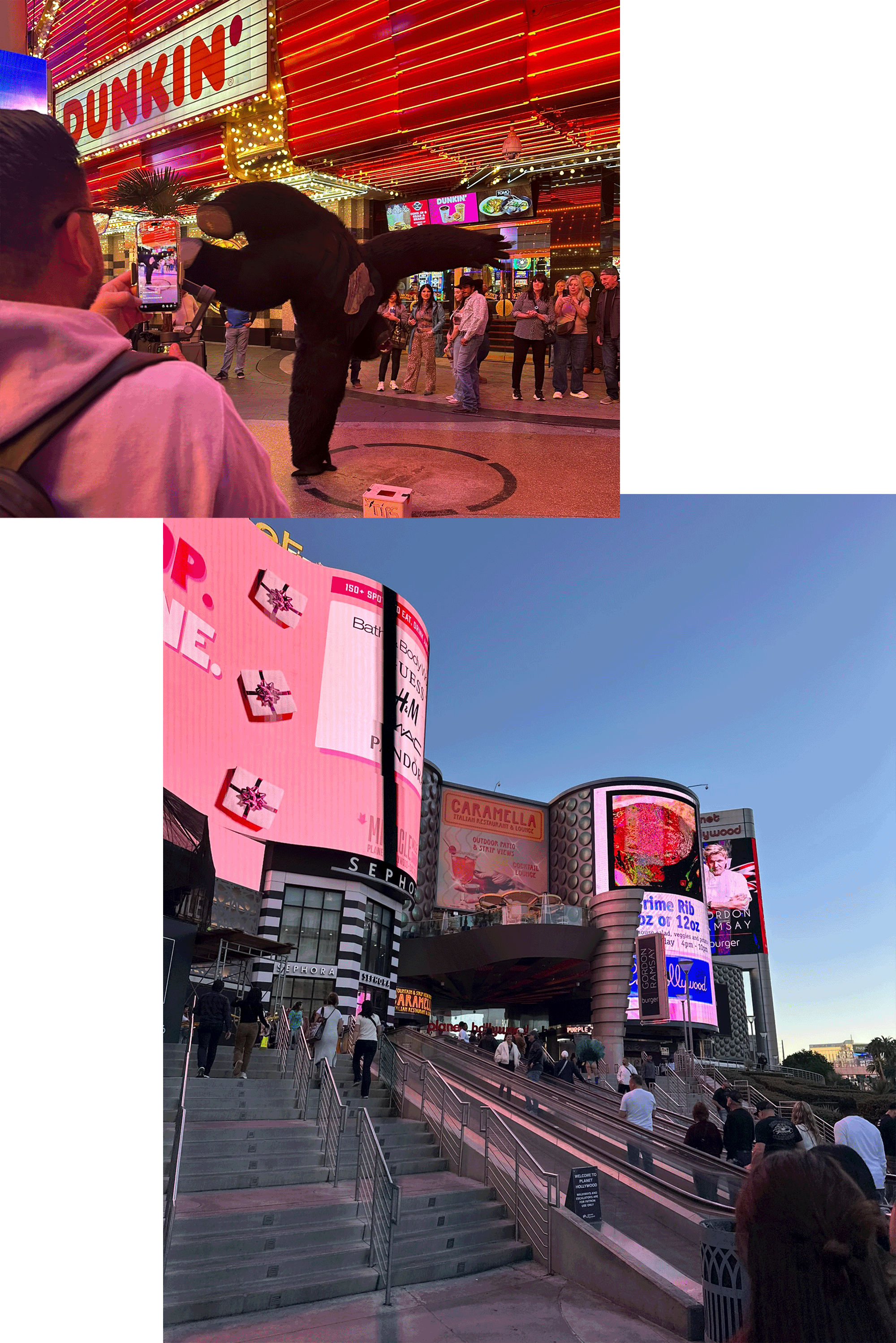de9b4b3f47940.gif