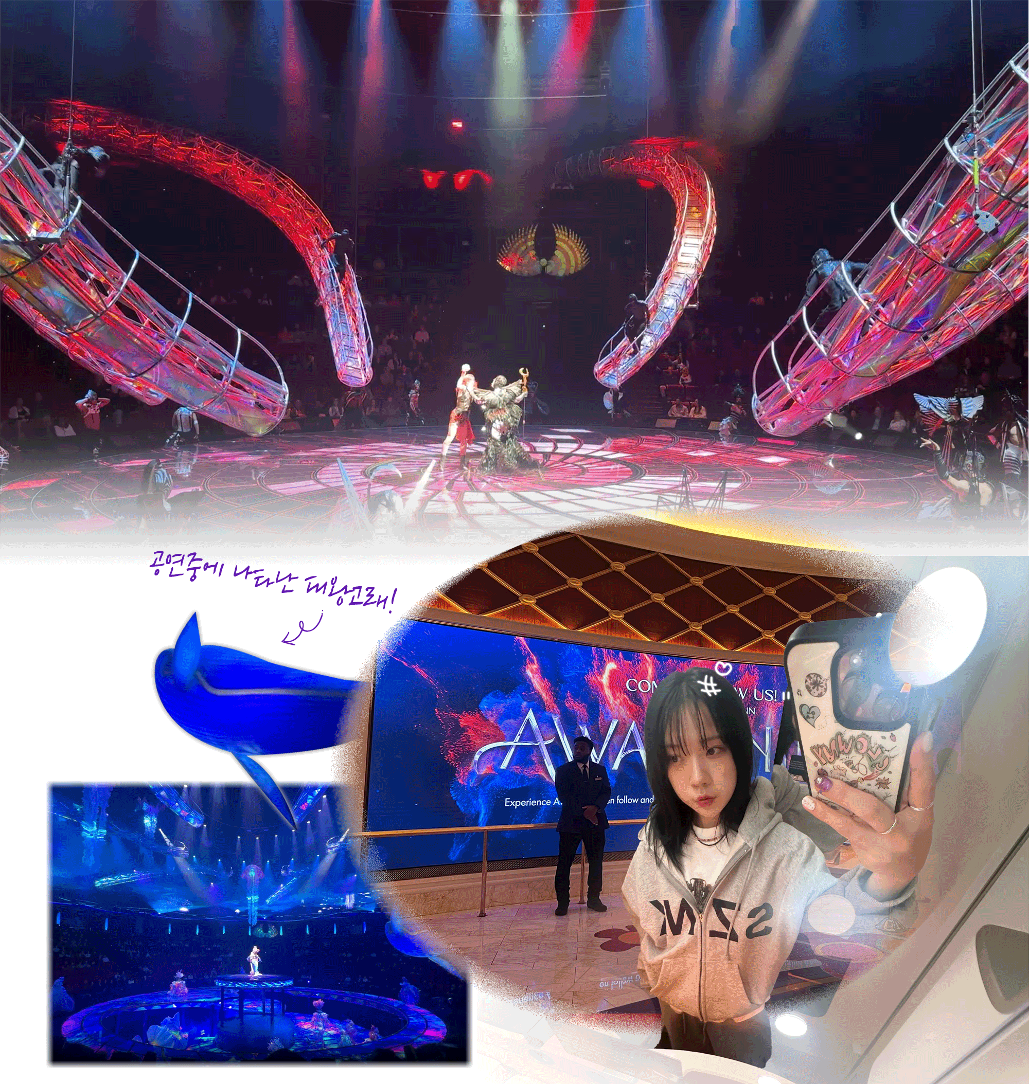 f2d2390564b1c.gif
