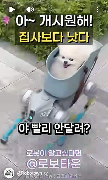 54850f24453b5.png