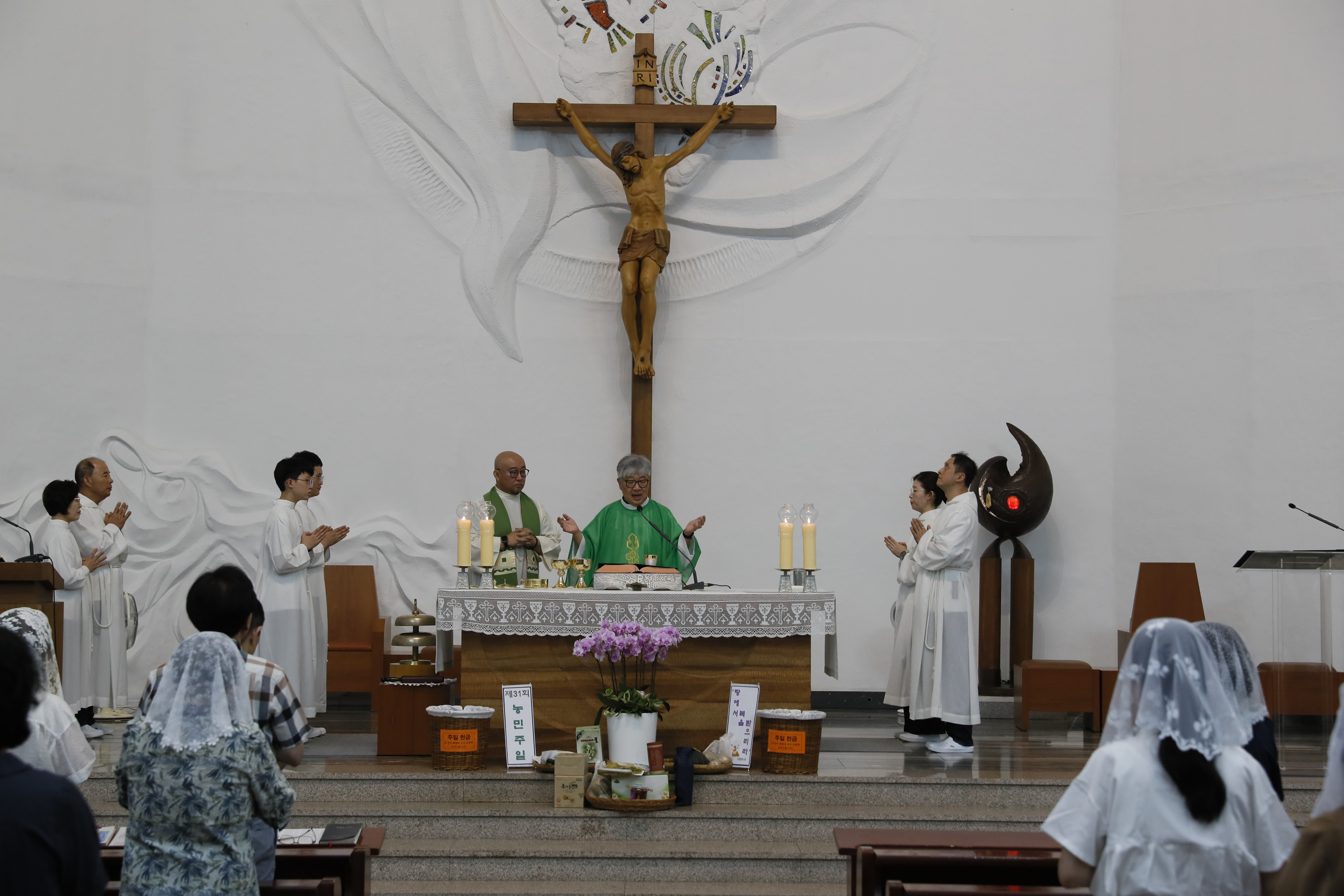 1d468877e5ddd.jpeg