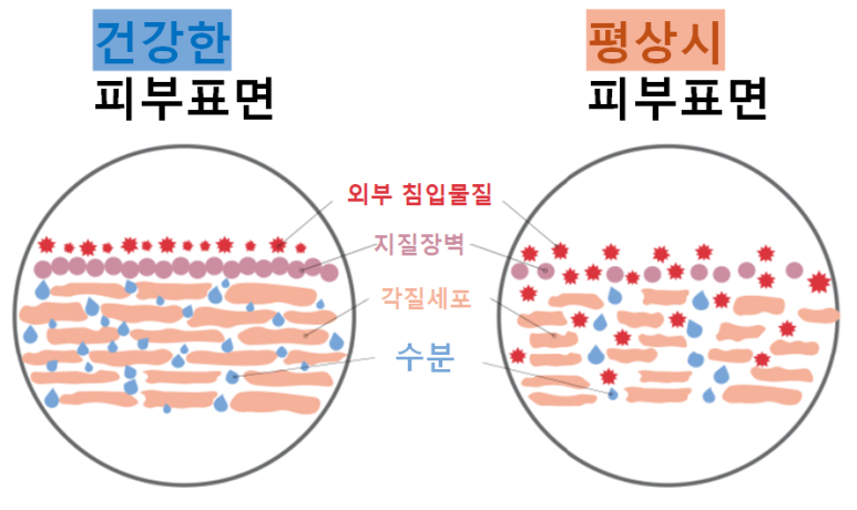 피부표면