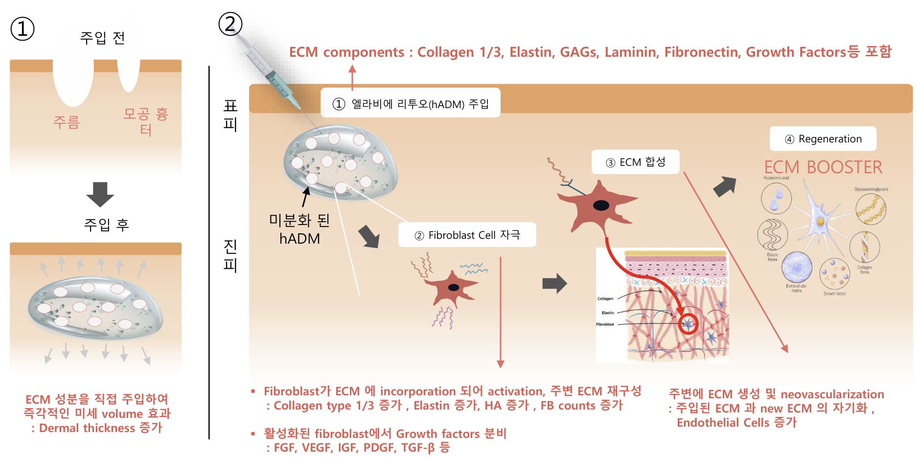 f6e597c0a8827.png