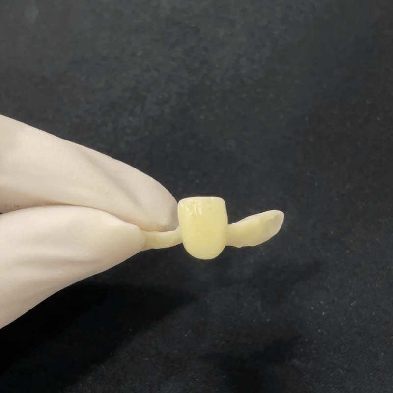 c545ba19b3a08.gif