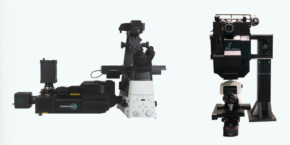 X-Light V3