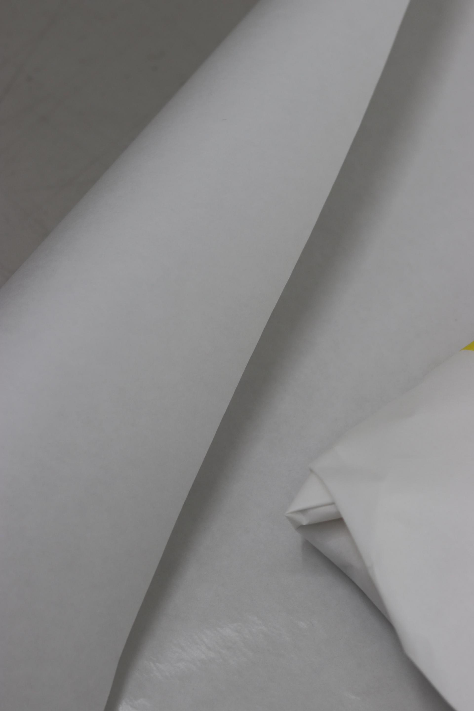 Glassine Paper Roll