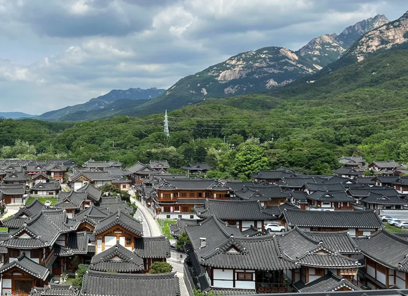 구읍뱃터 갈매기
