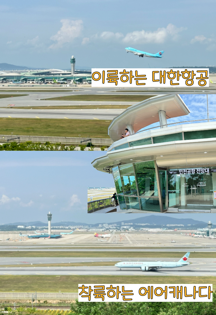 씨사이드파크 바닷길