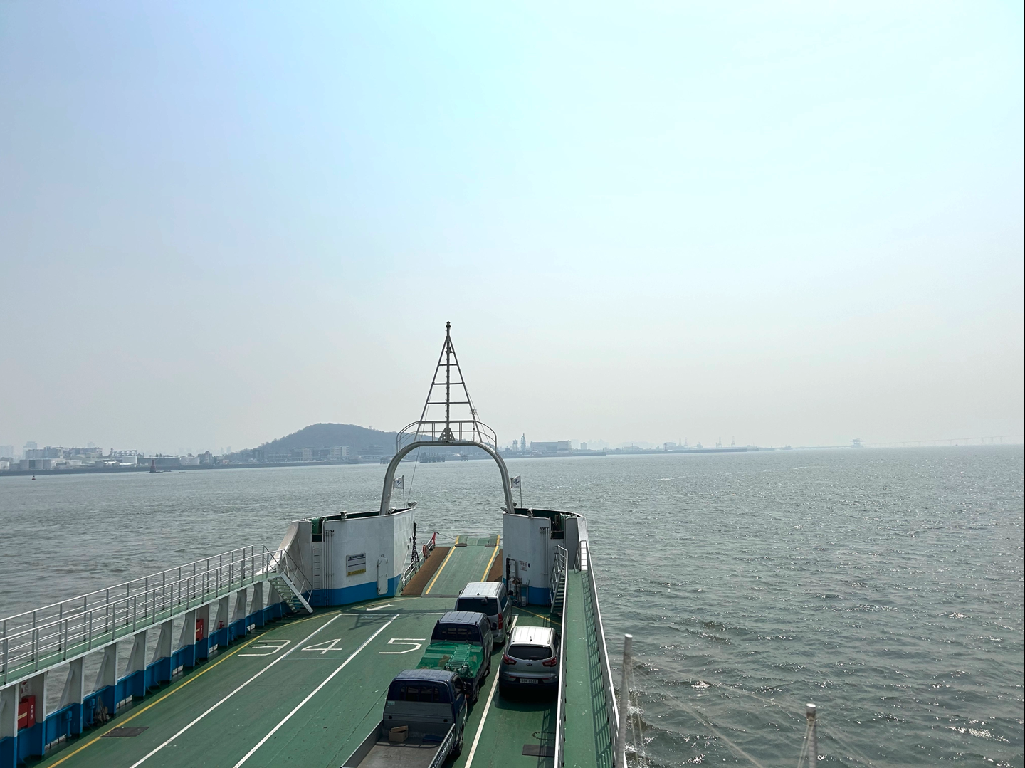 구읍뱃터 갈매기