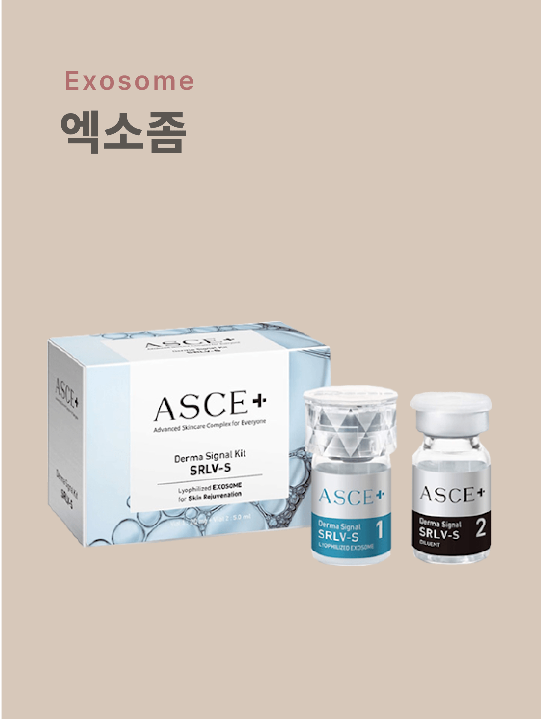 엑소좀 세포재생 시술