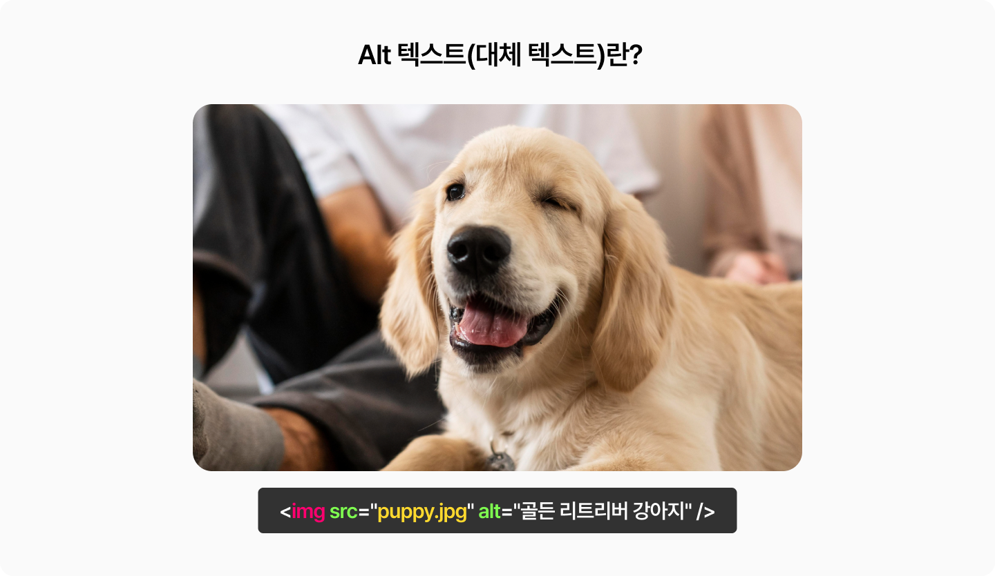 alt 텍스트, 대체 텍스트의 예시