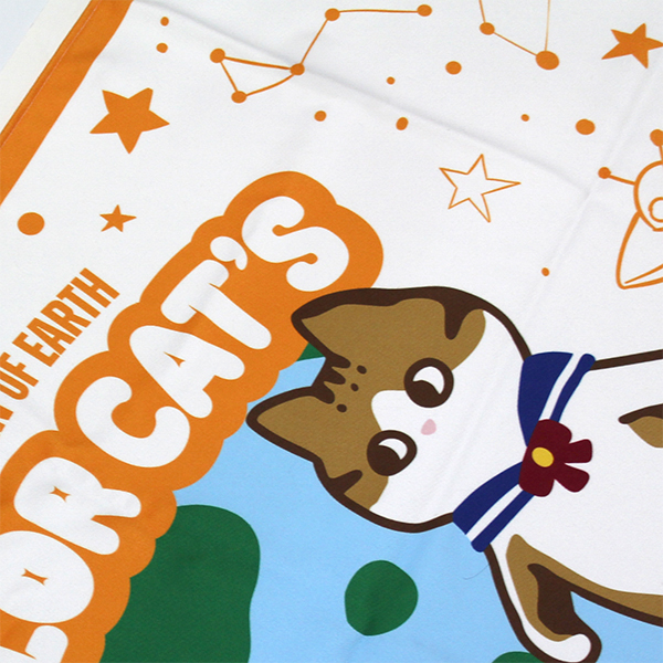 Character Beach Towel