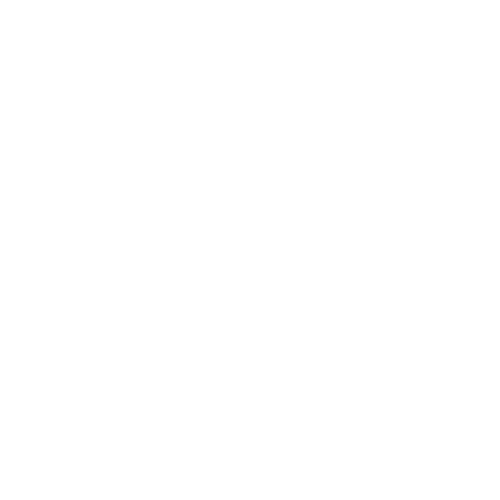 파과