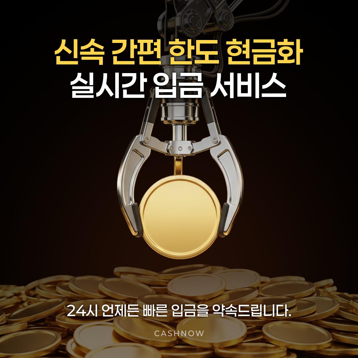 입금 절차 안내 캐시나우