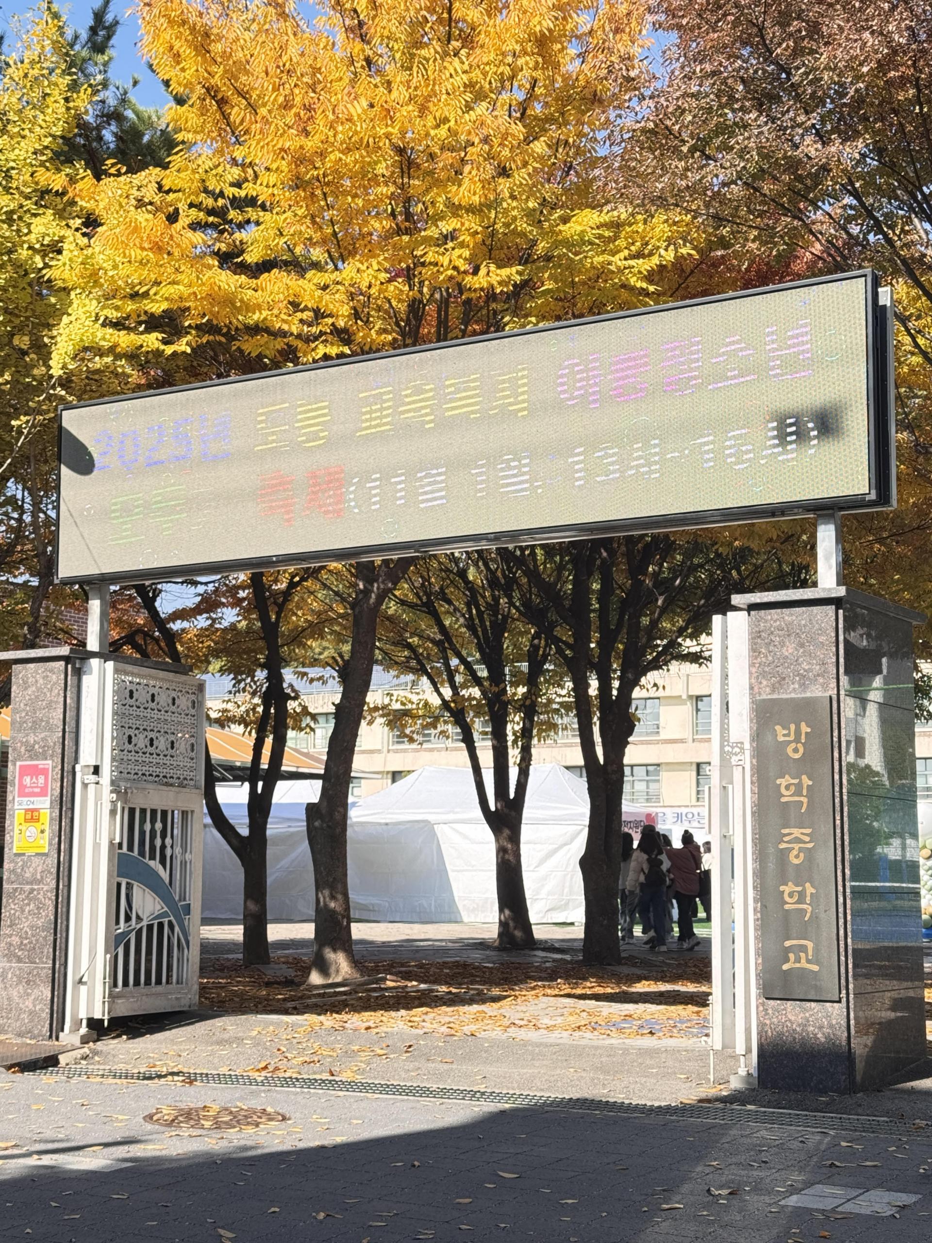 95d8b47334e1c.jpg