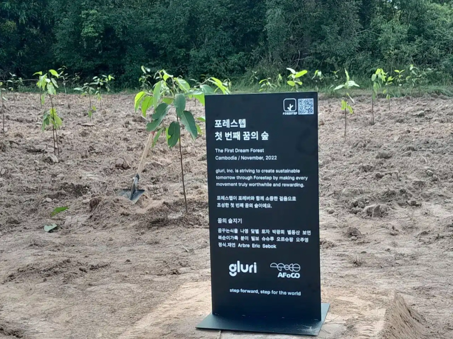 3ca45181e2056.png