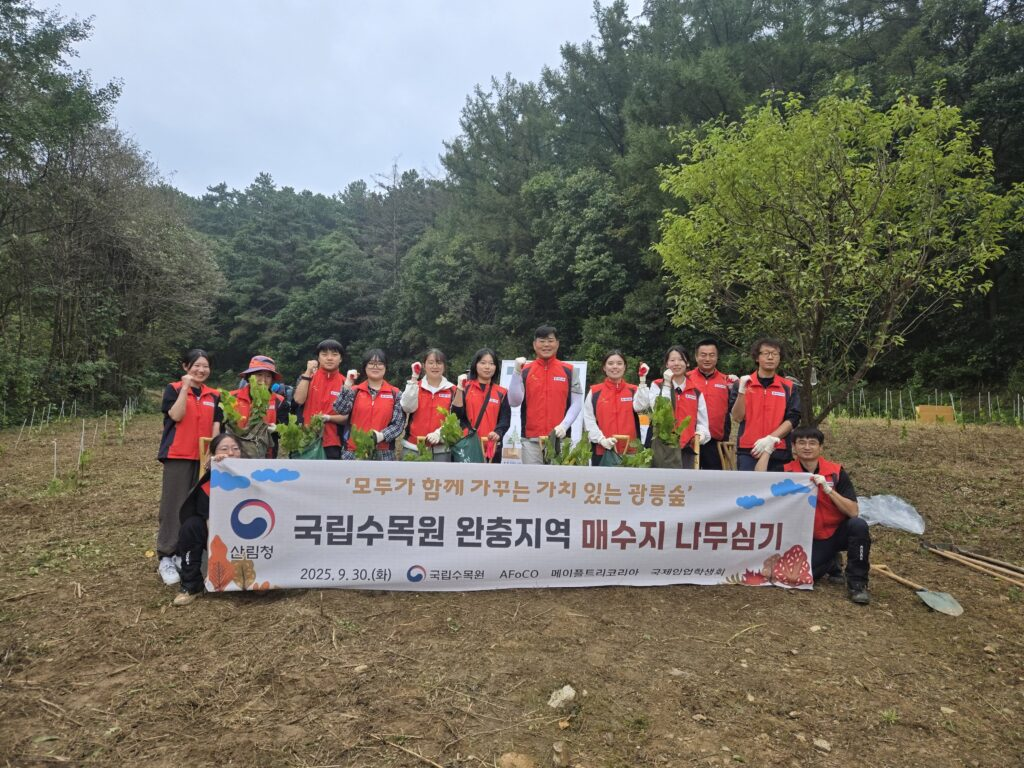 e521cf2ed9639.png
