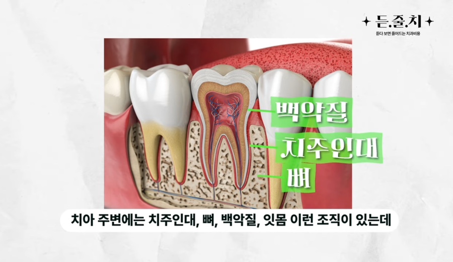 5cfd6fe025517.jpg
