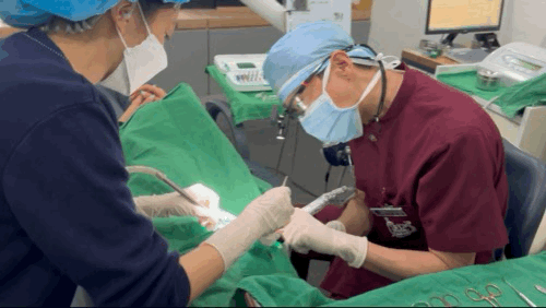 89050a4c91ab9.gif