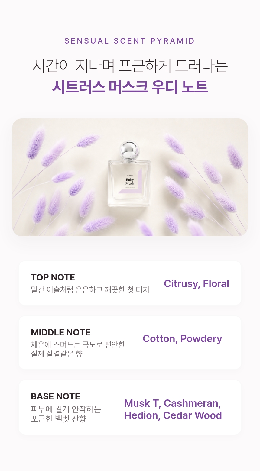 엘미르 Baby Musk 베이비머스크 살냄새 향수 파우더향 오드퍼퓸 50ml