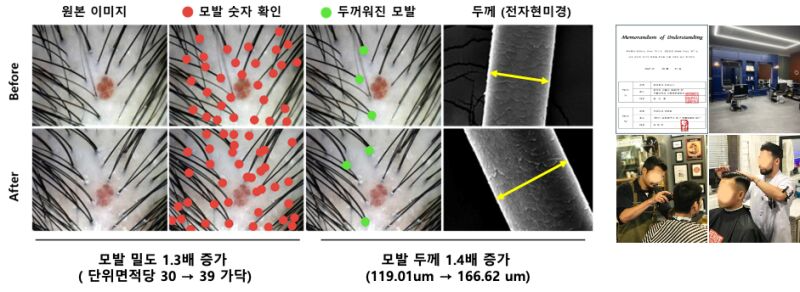 이미지 설명이 없습니다.