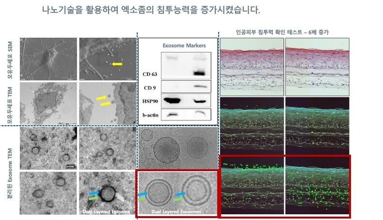 이미지 설명이 없습니다.