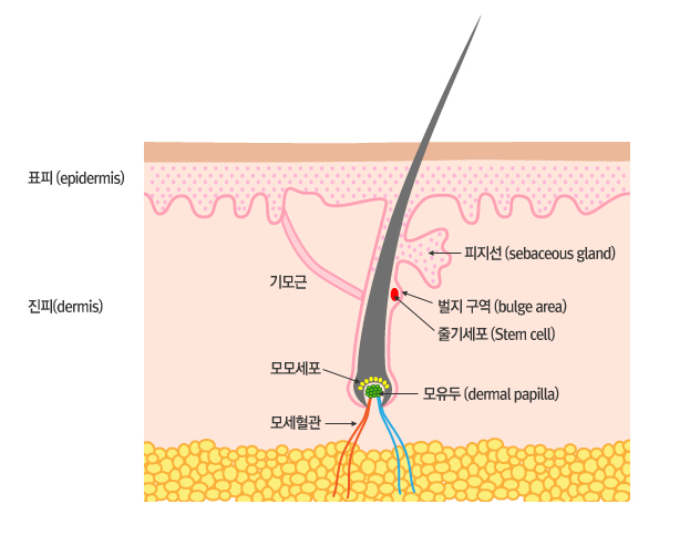 이미지 설명이 없습니다.