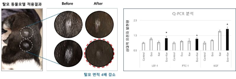 이미지 설명이 없습니다.