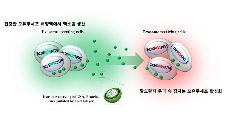 이미지 설명이 없습니다.