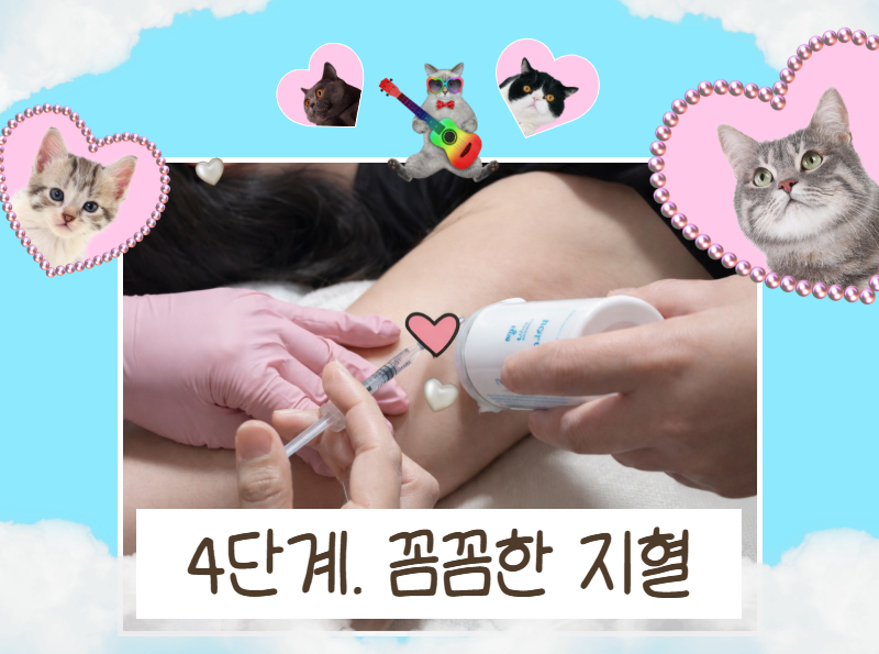 0772050be7641.png
