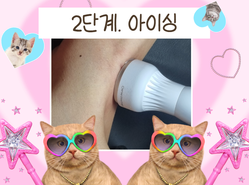 1a08a53eb7056.png