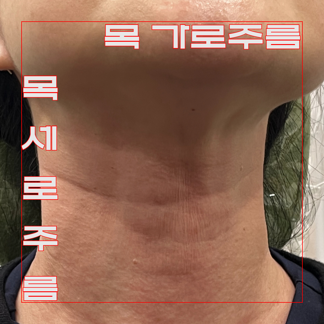 4367c0bbf1d62.jpg