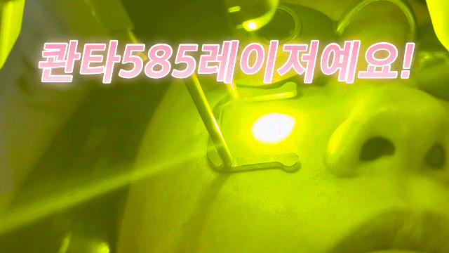 495b2d8c55a40.gif