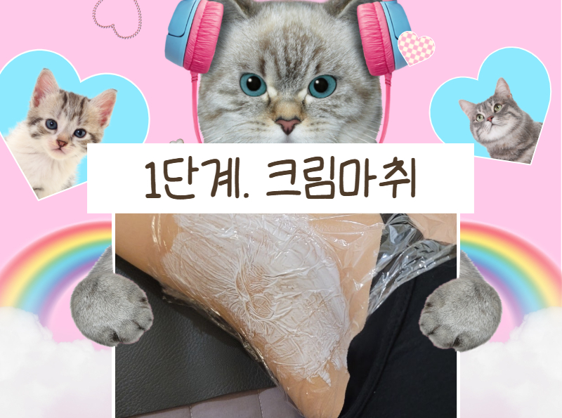 7a147721f70ce.png